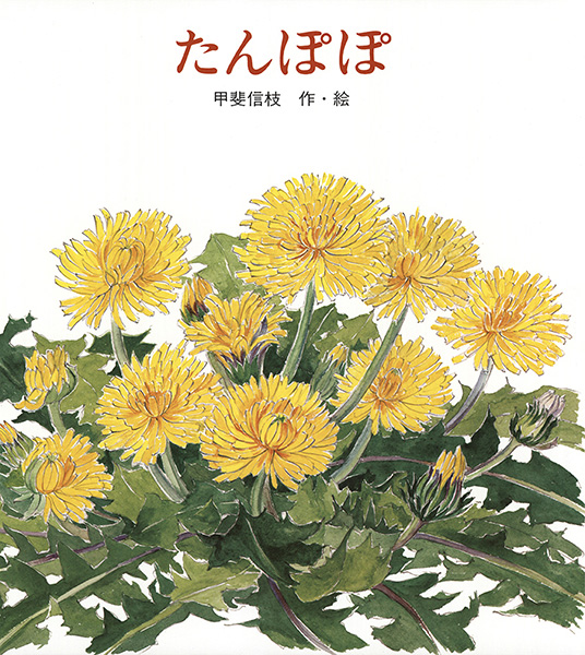 たんぽぽ